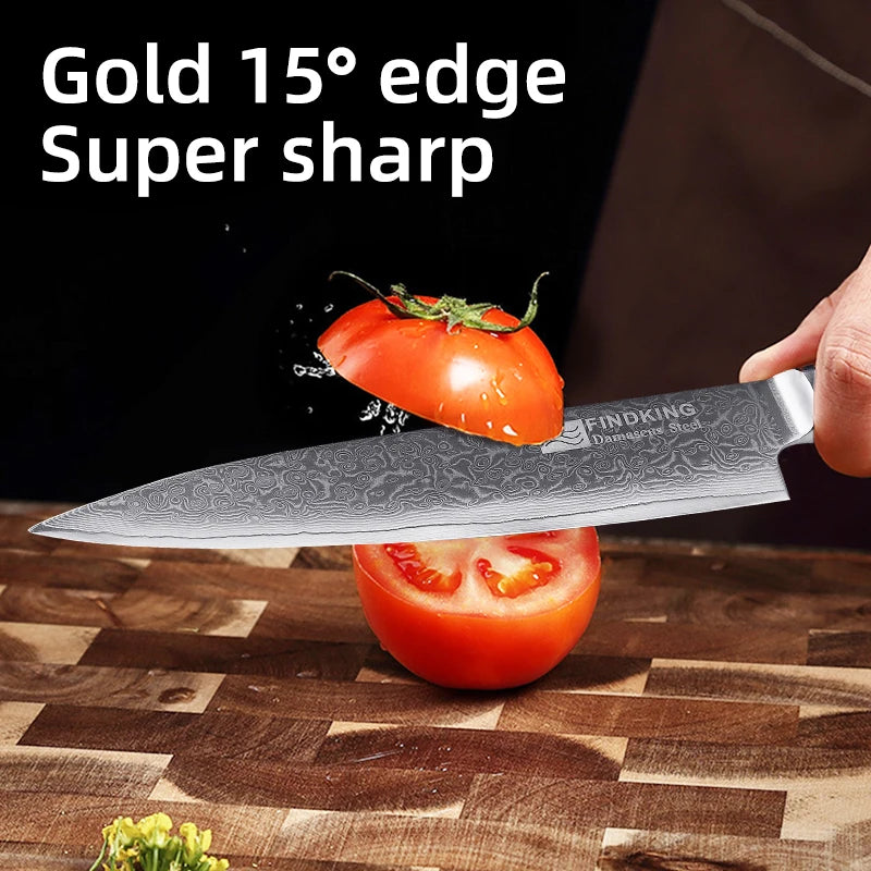 FINDKING New 67 Layers Damascus Steel 8 inch Chef Knife Japanese Knife Environmental Pakka Wood Handle Kitchen Knives